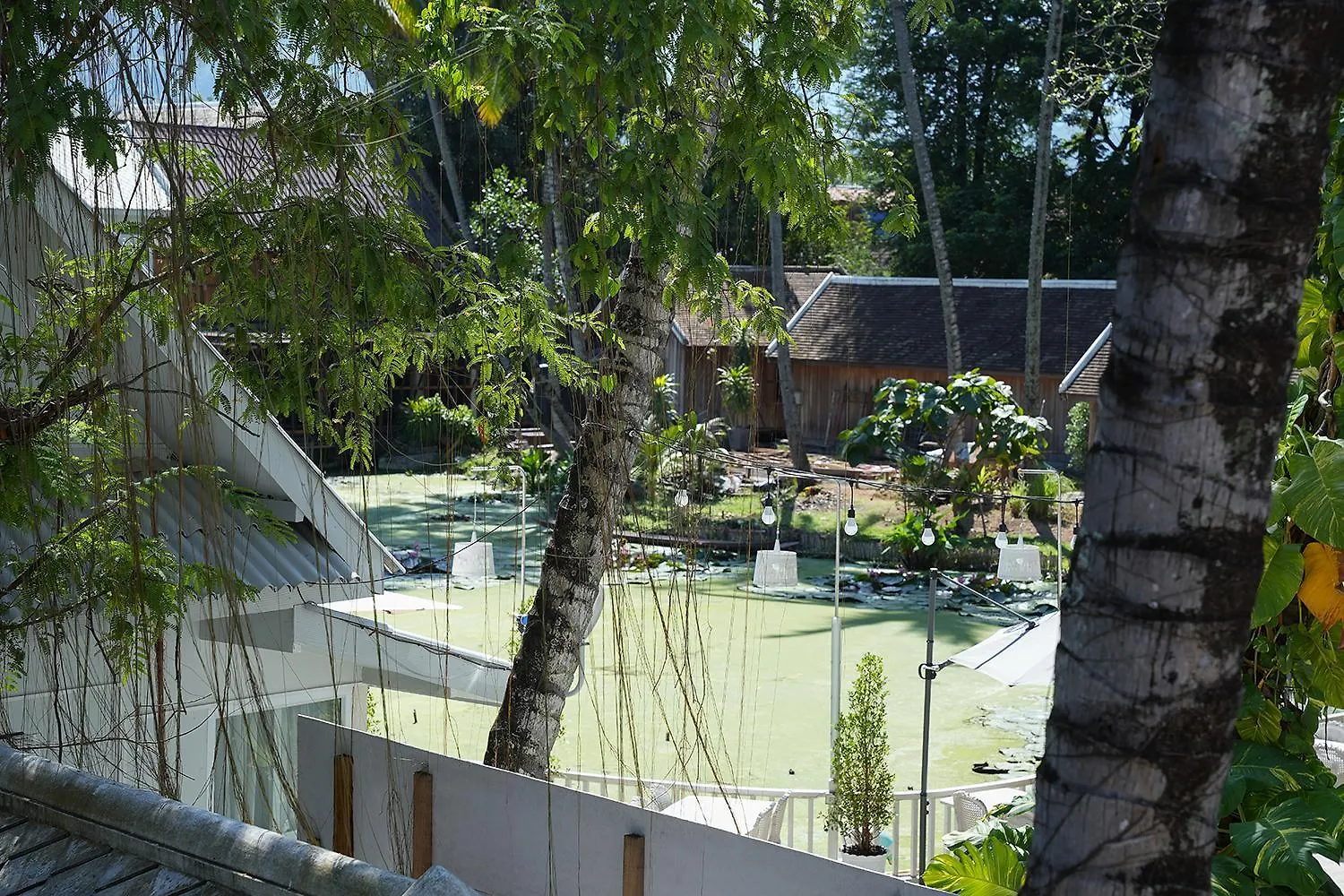 Luang Prabang Villa Oasis